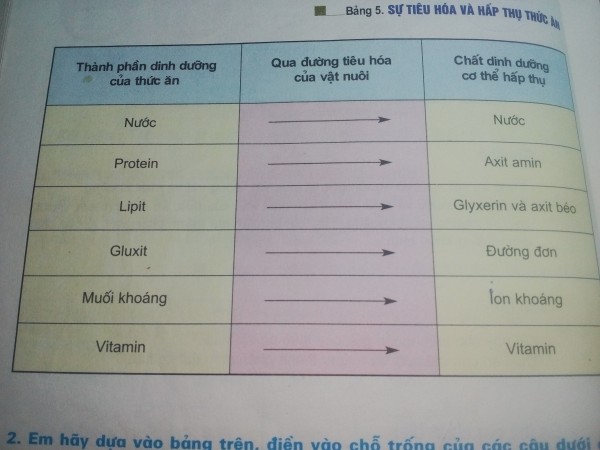 Kết quả hình ảnh cho hình ảnh Thức ăn đc cơ thể vật nuôi tiêu hóa ntn
