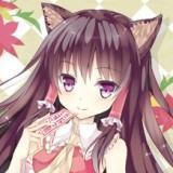 sakura1234