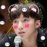 phmthngcdung