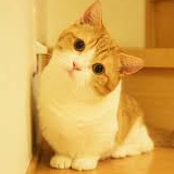 Munchkin