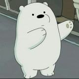 Ice bear