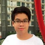 Trần Lê Việt Hoàng