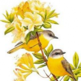 thanh70
