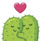 CactusCute